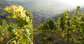 Weingut Hees - Landgasthof Zum Jäger aus Kurpfalz